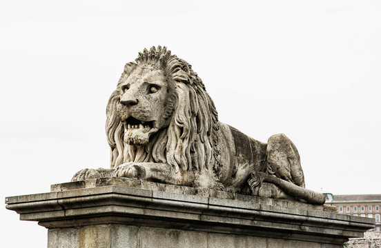 Lion stone statue in Budapest, Hungary