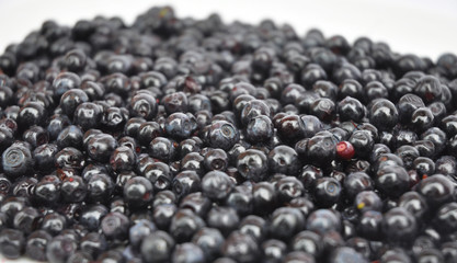 Close up view on organic blueberry