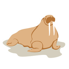 adult walrus vector illustration style Flat