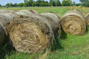 Straw bales on the meadow in summer
