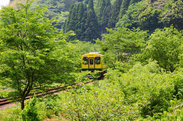 新緑の中を走るいすみ鉄道
