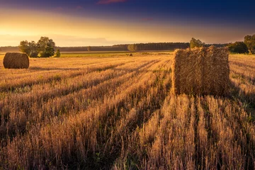 Crédence de cuisine en verre imprimé Campagne Sun rises over a field of stubble with haystacks. August countryside landscape. Masuria, Poland..