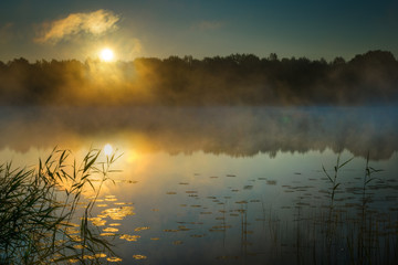 Sun rises over  Sawinda Wielka Lake. Masuria. Poland. - obrazy, fototapety, plakaty