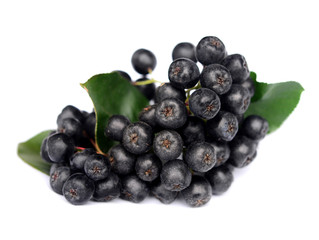 Chokeberry in closeup