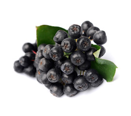 Chokeberry in closeup