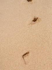 footprints in sand