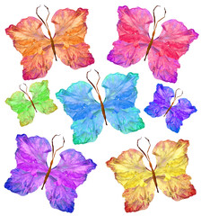 floral butterfly made from gladiolus flower