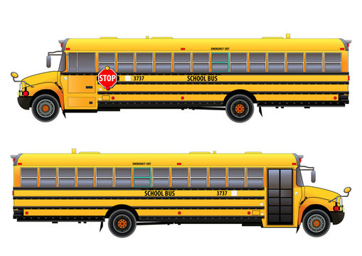 School bus, vector illustration. Isolated on white