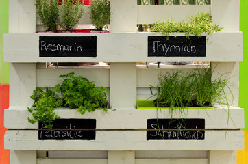 Vertikaler Kräutergarten