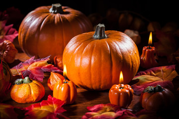 Thanksgiving and  Halloween