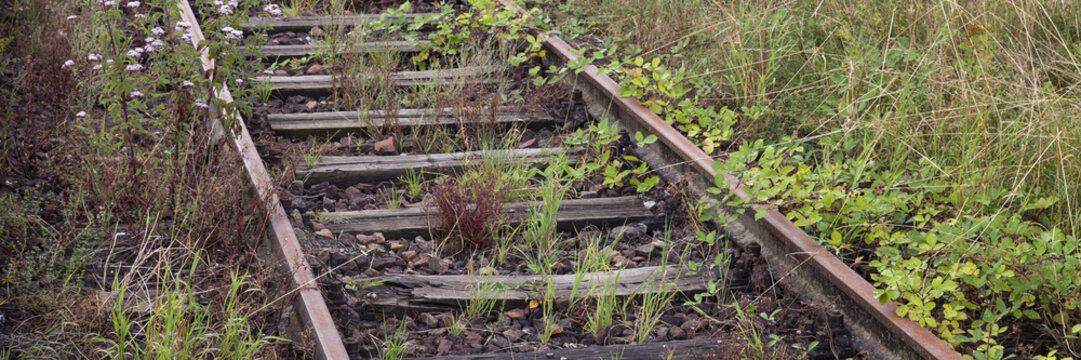 Stillgelegtes Eisenbahngleis, Baden-W&uuml;rttemberg, Deutschland, Europa,