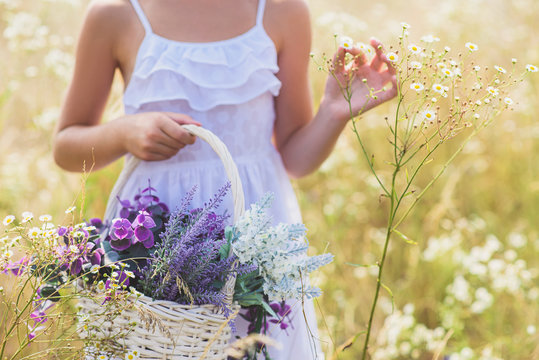 Cheerful Kid Picking Flowers On Meadow