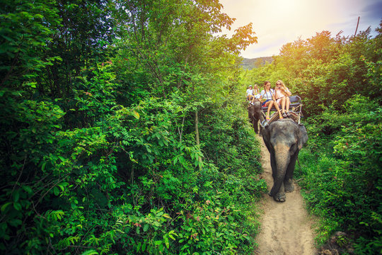 Group Of Tourists Riding Elephants In Thailand