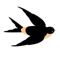 swallow bird vector illustration style Flat