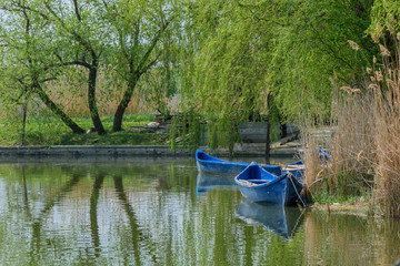 Image with willows and blue boats over lake water. Weeping willo