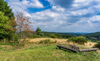 Traumpfad Heideblüte