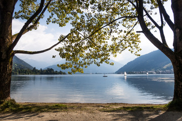 Segelboote am Zeller See, umsäumt von Bäumen