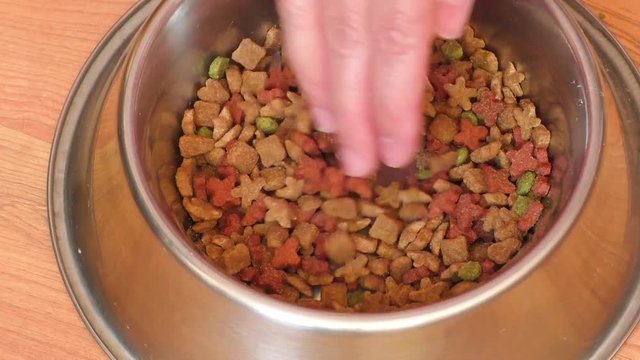 Close up of pet food in metal bowl
