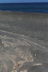 Obraz premium Kamari Beach Santorini