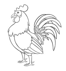 Cock or rooster. Vector illustration on a light background.