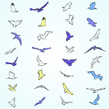 A set of painted birds. Simple drawing. Outline of birds, painted birds.
