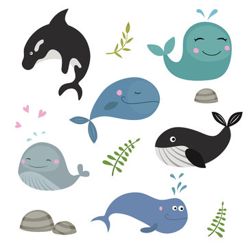 Set funny whales