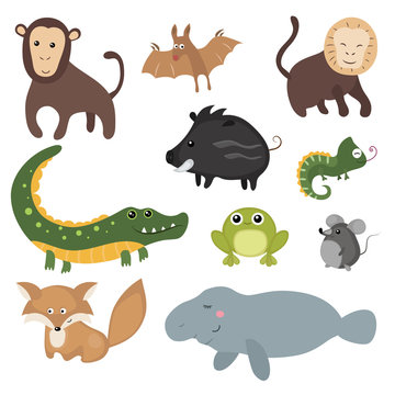 Vector set of different animals of South America.