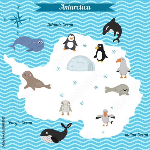 “Cartoon map of Antarctica continent with different animals