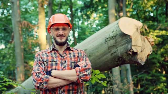 Smiling man in hard hat near cut tree. RAW video record.