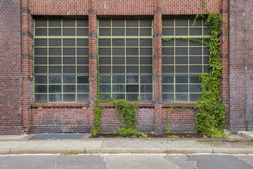 red brick old factory windows and ivy