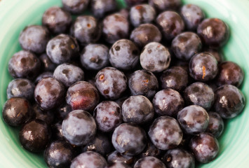 plum on a plate close-up