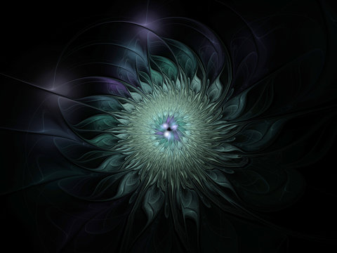 Abstract blue and purple beautiful flower