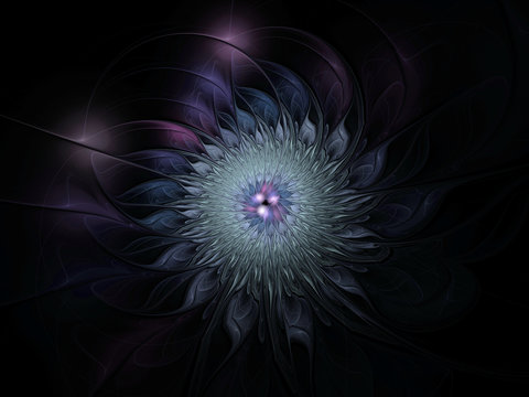 Abstract blue and purple beautiful flower