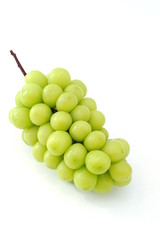 シャインマスカット