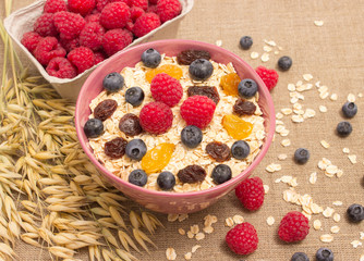 Healthy porridge with fruits on canvas