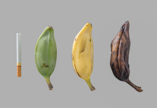 Cigarette cause of wither banana