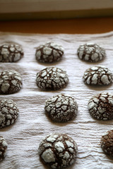 Fototapeta na wymiar Chocolate crackle cookies organized on white napkin. Decorated with granulated and powdered sugar. Selective focus.