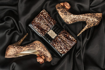 Leopard lacquer bag and leopard shoes on a black