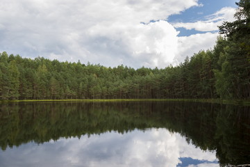Fototapeta na wymiar Forest lake in a midland of Europe
