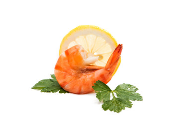 Tiger shrimp. Prawn isolated