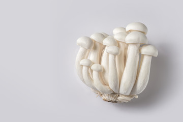 mushroom top view, shimeji mushroom on white background