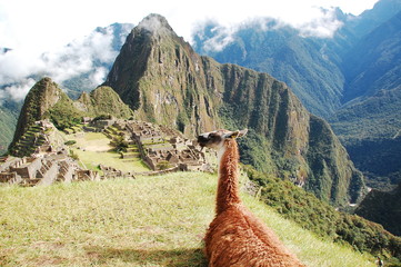 Machu Picchu