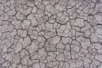 dry cracked earth backgrounds/textures