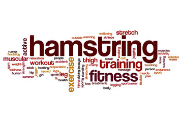 Hamstring word cloud