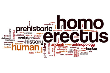 Homo erectus word cloud