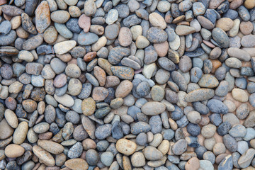 white ,gray ,orange pebbles background