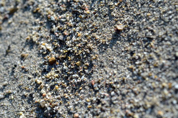 Sand