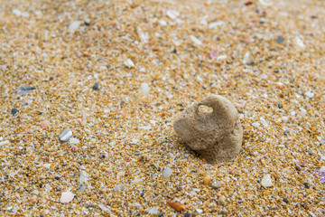 The sand on the beach pebble