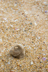 The sand on the beach pebble
