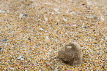 Fototapeta na wymiar The sand on the beach pebble